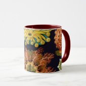 Ascidiae by Ernst Haeckel, Marine Animals マグカップ (正面右)