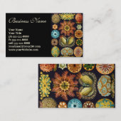 Ascidiae by Ernst Haeckel, Marine Animals 名刺 (正面/裏面)