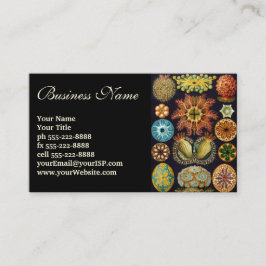 Ascidiae by Ernst Haeckel, Marine Animals 名刺