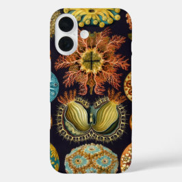 Ascidiae by Ernst Haeckel, Marine Animals iPhone 16ケース