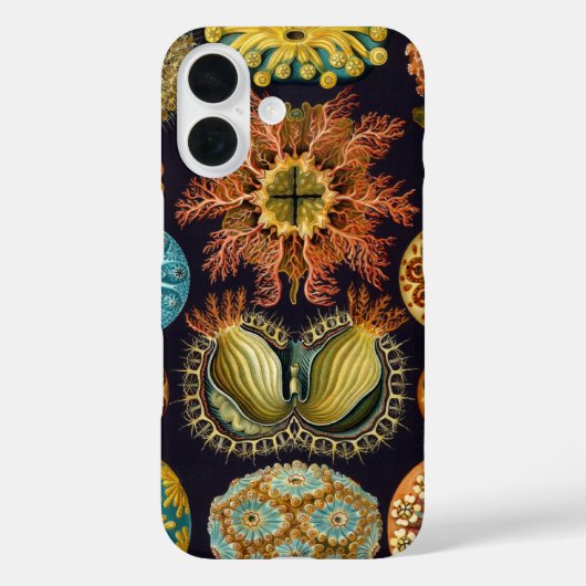 Ascidiae by Ernst Haeckel, Marine Animals Case-Mate iPhoneケース (裏面)