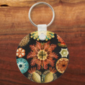 Ascidiae, Seescheiden Marine Life by Ernst Haeckel キーホルダー (正面)