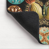 Ascidiae, Seescheiden Marine Life by Ernst Haeckel マウスパッド (コーナー)