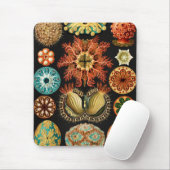 Ascidiae, Seescheiden Marine Life by Ernst Haeckel マウスパッド (マウス)