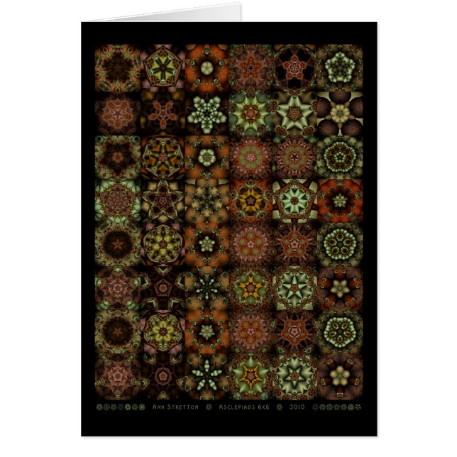 Asclepiads 6x8 (正面)