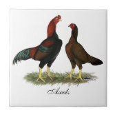 Aseelの黒く赤い鶏 タイル (正面)