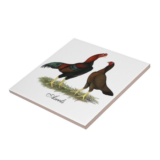 Aseelの黒く赤い鶏 タイル (側面)