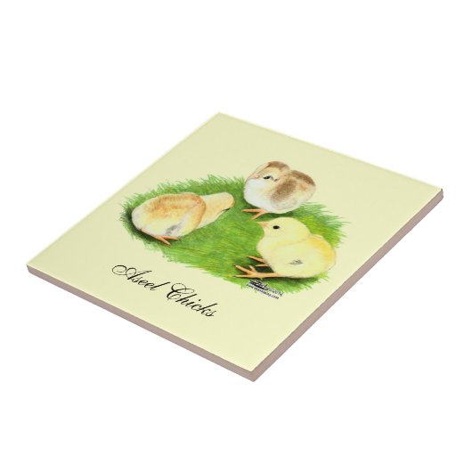 AseelのWheatenひよこ タイル (側面)