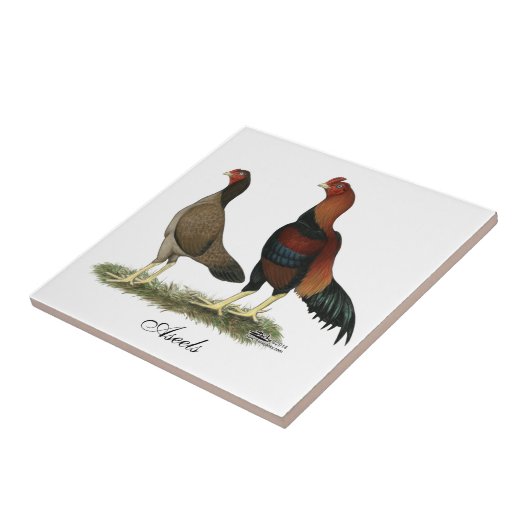 AseelのWheaten鶏 タイル (側面)