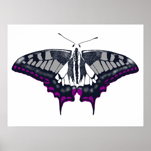 Asexual Flag Swallowtail Butterfly ポスター (正面)