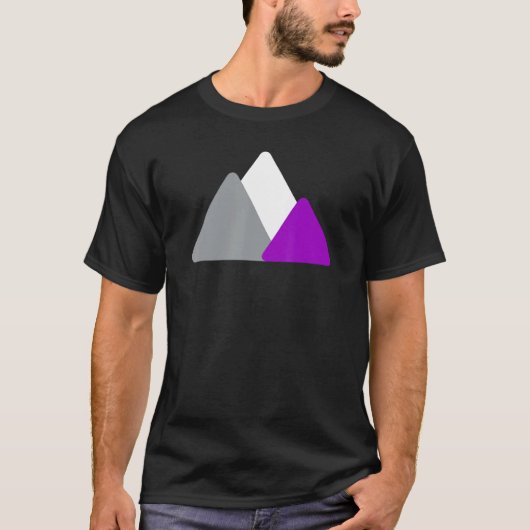 Asexual Pride Mountain Minimalist Ace LGBTQ Asexua Tシャツ (正面)