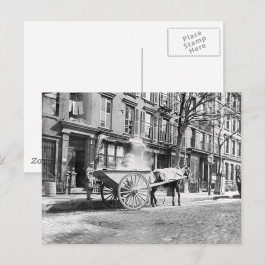 Ash Cart New York 1896 ポストカード (正面/裏面)