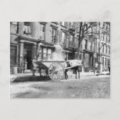 Ash Cart New York 1896 ポストカード (正面)