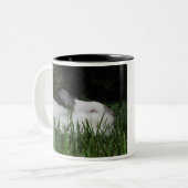 Ashton ツートーンマグカップ (正面左)