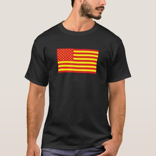 Asian American Flag Tシャツ (正面)