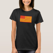 Asian American Flag Tシャツ (正面)