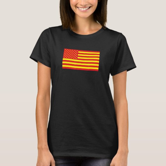 Asian American Flag Tシャツ (正面)