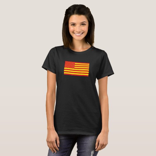 Asian American Flag Tシャツ (正面フル)