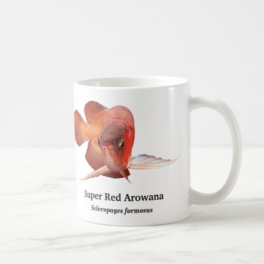 Asian Arowana コーヒーマグカップ (右)