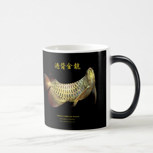 Asian Arowana モーフィングマグカップ (右)
