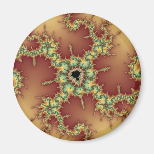 Asian Spider – フラクタル マグネット (正面)