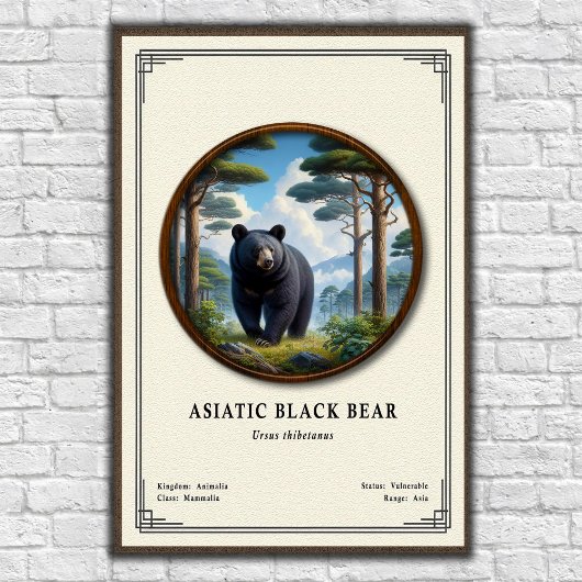 Asiatic Black Bear Zoology Series ポスター