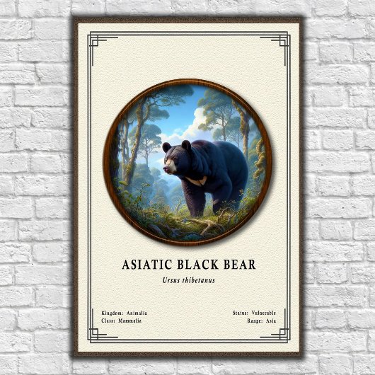 Asiatic Black Bear Zoology Series ポスター