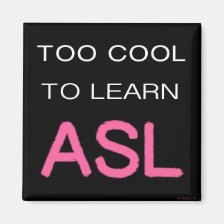 ASL磁クール石に学は無理 マグネット