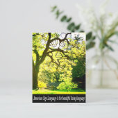 ASL – 手形の枝 ポストカード (スタンド正面)