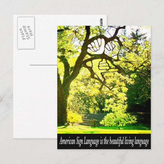 ASL – 手形の枝 ポストカード (正面/裏面)