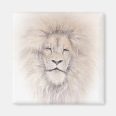 Aslan マグネット (正面)