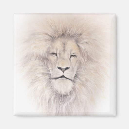 Aslan マグネット (正面)