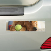 ASPCA犬 バンパーステッカー (車上)