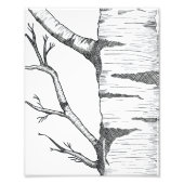 Aspen フォトプリント (正面)