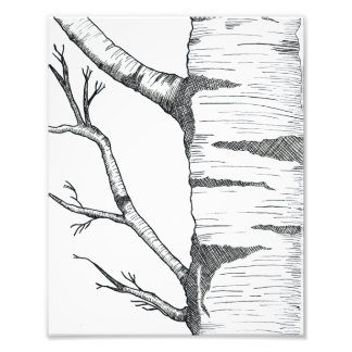 Aspen フォトプリント