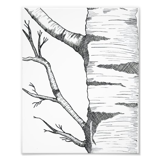 Aspen フォトプリント (正面)