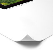 Aspen Grove, Cripple Creek, Colorado Poster ポスター (角)