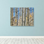 Aspen Groves | Colorado Rocky Mountains キャンバスプリント (インサイチュ (ウッドフロア))