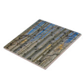 Aspen Groves | Colorado Rocky Mountains タイル (側面)