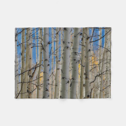 Aspen Groves | Colorado Rocky Mountains フリースブランケット (正面(横))