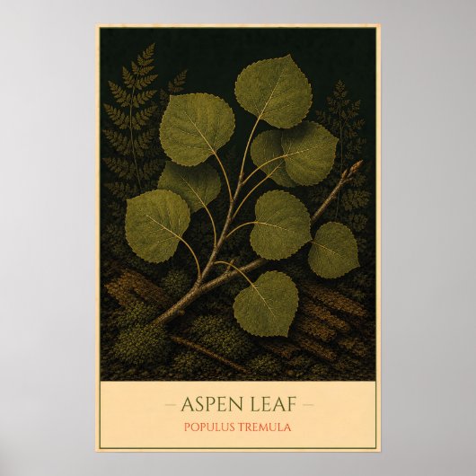 Aspen Leaf – Vintage Botanical Illustration ポスター (正面)