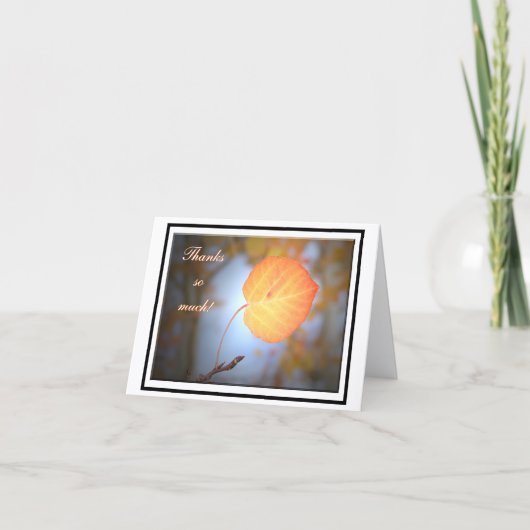 Aspen Thank You Note Card サンキューカード (正面)