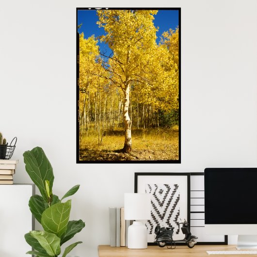 Aspen Tree, Cripple Creek, Colorado Poster ポスター (ホームオフィス)