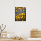Aspen tree groves in fall colors and new ポスター (キッチン)