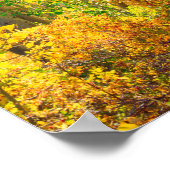 Aspen Trees In Fall | Sierra Nevada Mountains, CA ポスター (角)