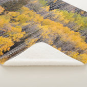 Aspen Trees | White River National Forest シェルパブランケット (3/4)