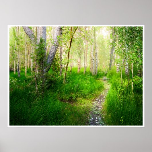 Aspens and Lush Grasses at Convict Lake Photo ポスター (正面)