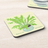 Asplenium Bird's nest fern – オレンジのスケッチ。 コースター (左側)