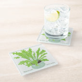 Asplenium Bird's nest fern – 白のスケッチ。 ガラスコースター (アングル)
