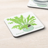 Asplenium Bird's nest fern – 白のスケッチ。 コースター (左側)